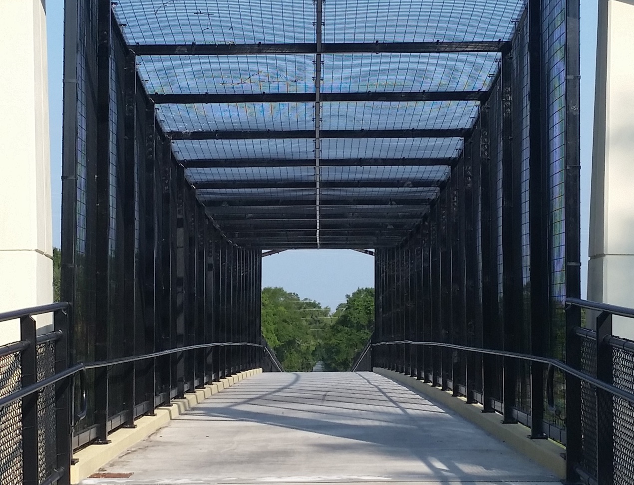 Volusia County Bridges